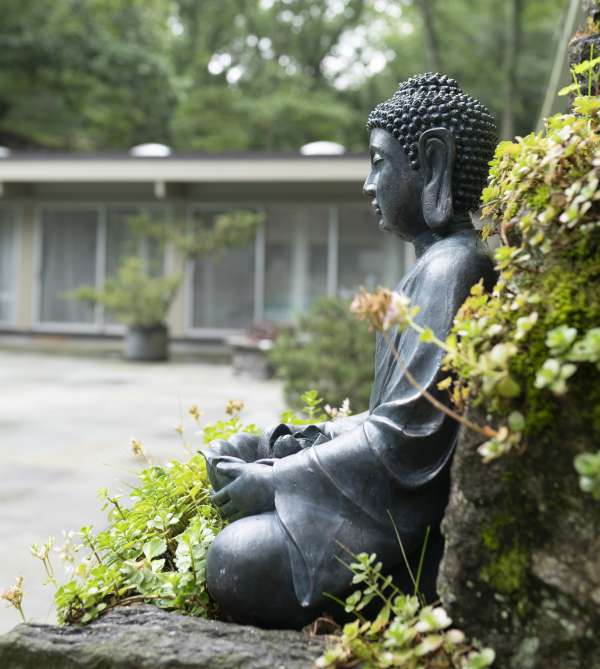 Budha zen house satori copy
